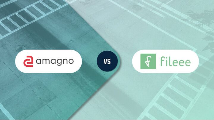 Amagno vs. fileee - im DMS Vergleich
